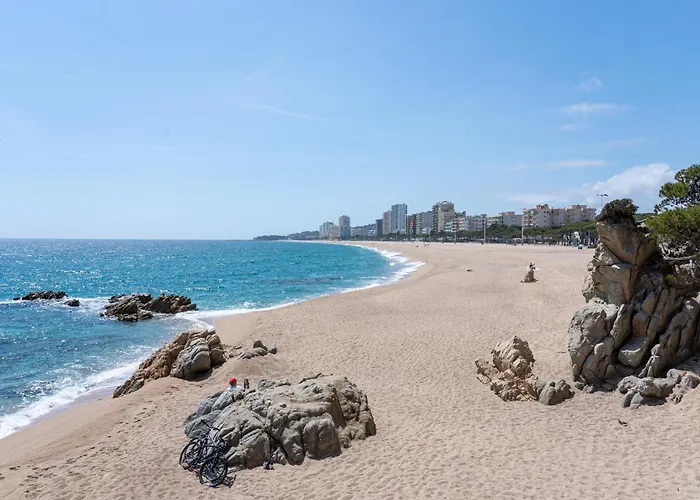 Hauzify I Plenamar *