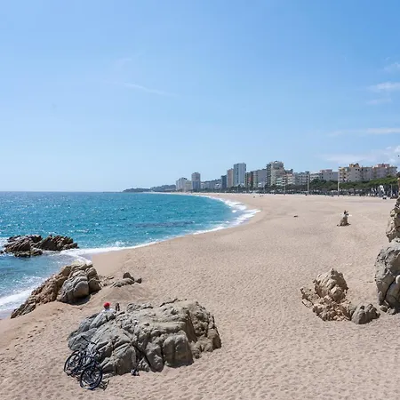 Hauzify I Plenamar *